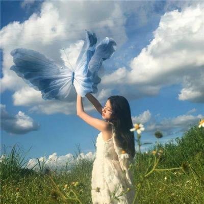 美人与流血事件